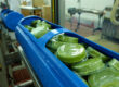 Traitement HPP avec la machine hyperbaric