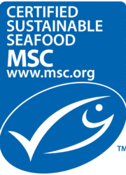 logo-MSC